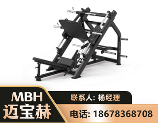 安顺45°倒蹬训练器