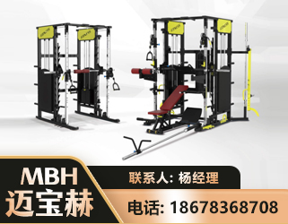 安顺多功能综合训练器
